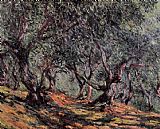 Trees Canvas Paintings - Olive Trees in Bordighera
